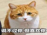 山西善抱商贸有限公司
