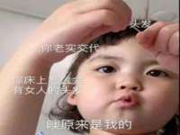 山西善抱商贸有限公司