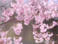 山西善抱商贸有限公司
