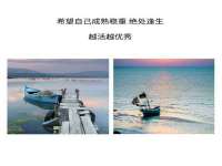 山西善抱商贸有限公司