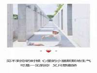 山西善抱商贸有限公司