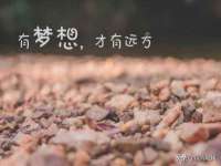 山西善抱商贸有限公司