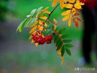 山西善抱商贸有限公司