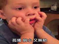 山西善抱商贸有限公司
