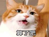 山西善抱商贸有限公司