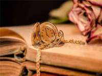 山西善抱商贸有限公司