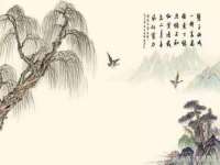 山西善抱商贸有限公司