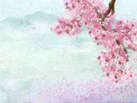 山西善抱商贸有限公司
