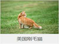 山西善抱商贸有限公司