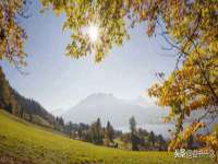 山西善抱商贸有限公司
