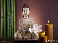 山西善抱商贸有限公司