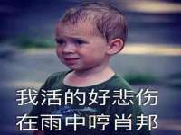 山西善抱商贸有限公司