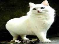山西善抱商贸有限公司