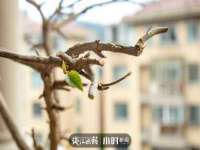 山西善抱商贸有限公司