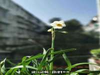 山西善抱商贸有限公司