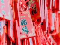 山西善抱商贸有限公司