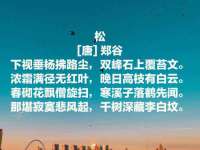 山西善抱商贸有限公司