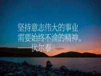 山西善抱商贸有限公司