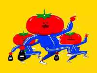 山西善抱商贸有限公司