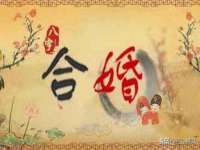 山西善抱商贸有限公司