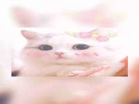 山西善抱商贸有限公司