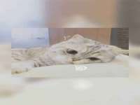 山西善抱商贸有限公司