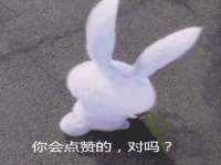 山西善抱商贸有限公司