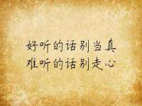 山西善抱商贸有限公司