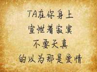 山西善抱商贸有限公司