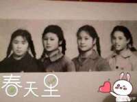 山西善抱商贸有限公司
