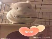 山西善抱商贸有限公司