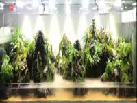 山西善抱商贸有限公司