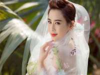 山西善抱商贸有限公司