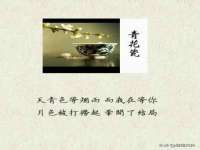 山西善抱商贸有限公司