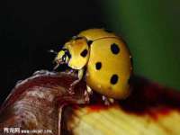 山西善抱商贸有限公司