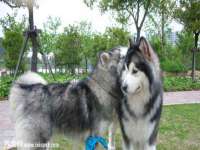 山西善抱商贸有限公司