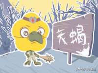 山西善抱商贸有限公司