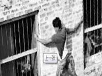 山西善抱商贸有限公司