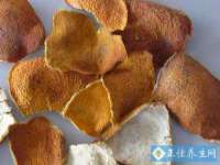 山西善抱商贸有限公司