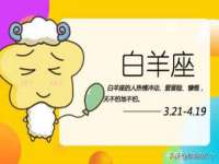 山西善抱商贸有限公司