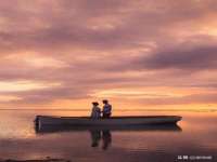 山西善抱商贸有限公司