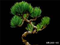 山西善抱商贸有限公司