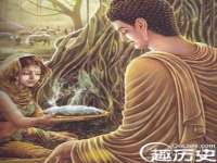 山西善抱商贸有限公司